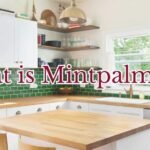 Home Upgrading Mintpalment